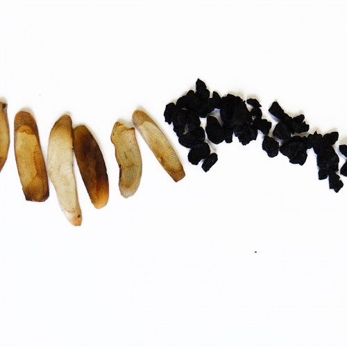 QING PI (CHAO HUANG)-Pericarpium Citri Reti.(Tos)