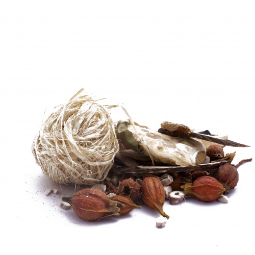 ZHU YE SHI GAO TANG by PV herbs