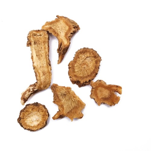 DANG GUI SHEN - Radix Angelicae sinensis