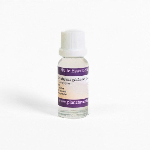 Huile essentielle d'Eucalyptus Globulus