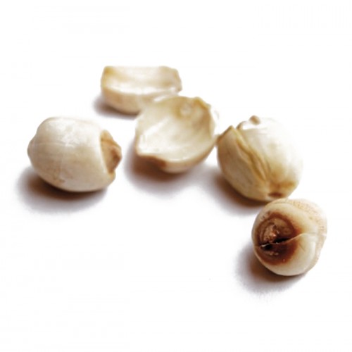 LIAN ZI - Semen Nelumbinis Nuciferarae - 300gr