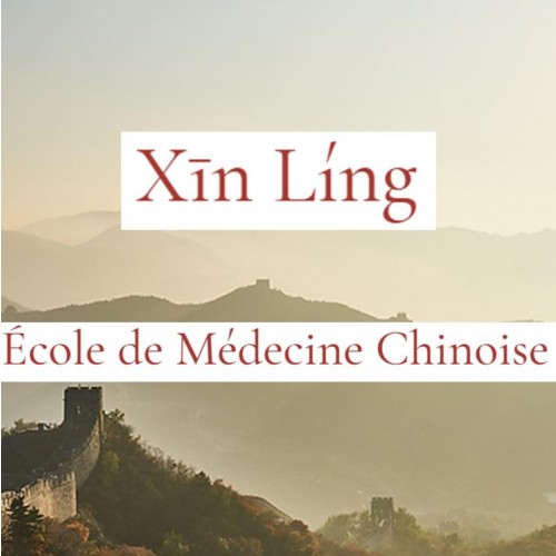 Kit étudiant XIN LING 2ème année