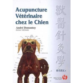 Acupunture vétérinaire chez le chien