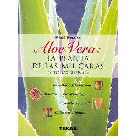 Aloe Vera; La planta de las mil caras