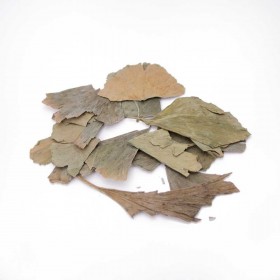 YIN XING YE - Folium Ginkgo