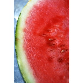 XI GUA PI - Peric citrulli vulgaris