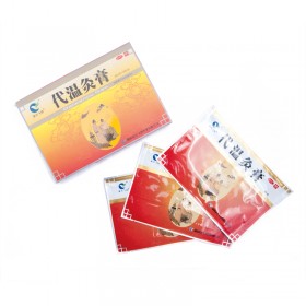 Patch Dai Wen - 16 warm plasters (substitut Moxa)
