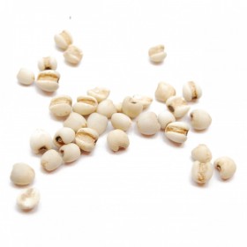 YI YI REN - Semen Coicis Lachryma Jobi - 200gr
