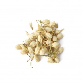 MO LI HUA - Jasminum sambac aiton 40gr