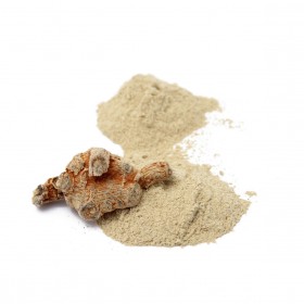 SAN QI (FEN) - Radix Pseudoginseng (Pulvis)