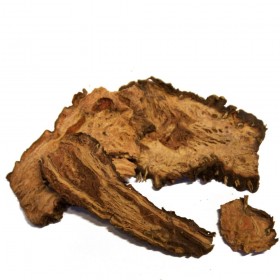HONG JING TIAN - Radix Rhodiola